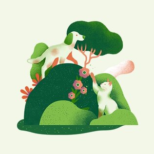 Biologische Diervoeding