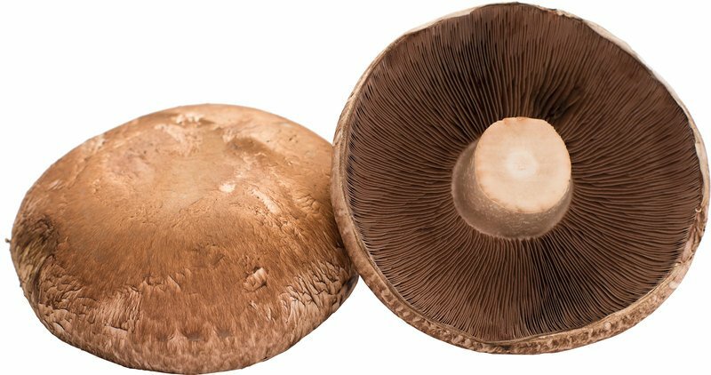 biologische-portobello