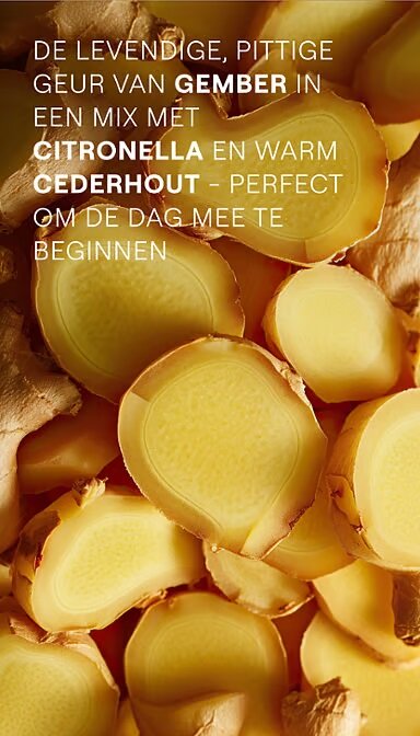 energy-douchegel-gember-weleda