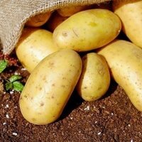 biologische-aardappeltjes-vastkokend-triplo