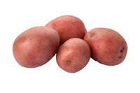 biologische-aardappelen-kruimig-rood
