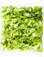 biologische-andijvie-gesneden