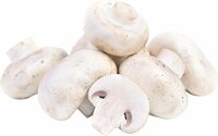 biologische-champignons-wit