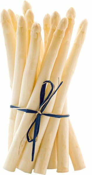 biologische-asperges-wit