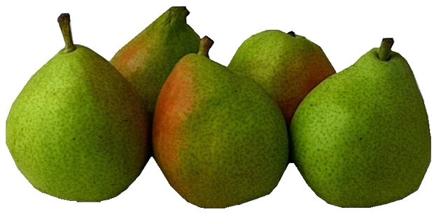 biologische-peer-anjou