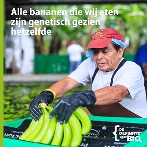 Genetische diversiteit, belangrijk voor voedselzekerheid