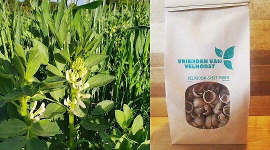 Wat weet jij van de veldboon?