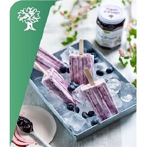 Recept: Yoghurtijsjes bosvruchten