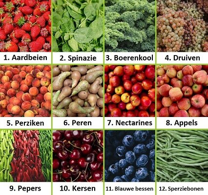 De 'Dirty Dozen' van 2024