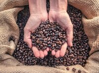 Uitgelicht: koffie van BioCafé