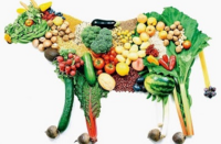 Is vegetarisch gezond en waar moet je dan op letten?