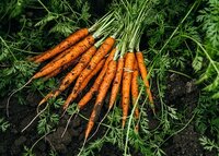 Welke doelstellingen streeft biologisch na?