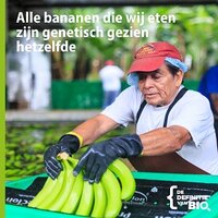 Genetische diversiteit, belangrijk voor voedselzekerheid