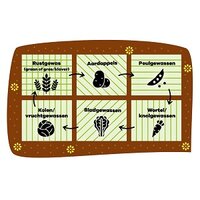 Bio weetje: Gewasdiversiteit