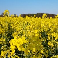 Biologische landbouw helpt het klimaat