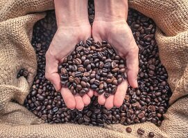 Uitgelicht: koffie van BioCafé