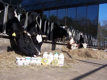 Nieuwe etiketten op vijfsprong flessenzuivel