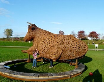 Regio: 'Ahimsa, de rustende koe' komt bij de Vijfsprong