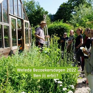 Uitjes voor de zomermaanden