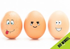 Het fipronil ei: wij hebben 'm niet!